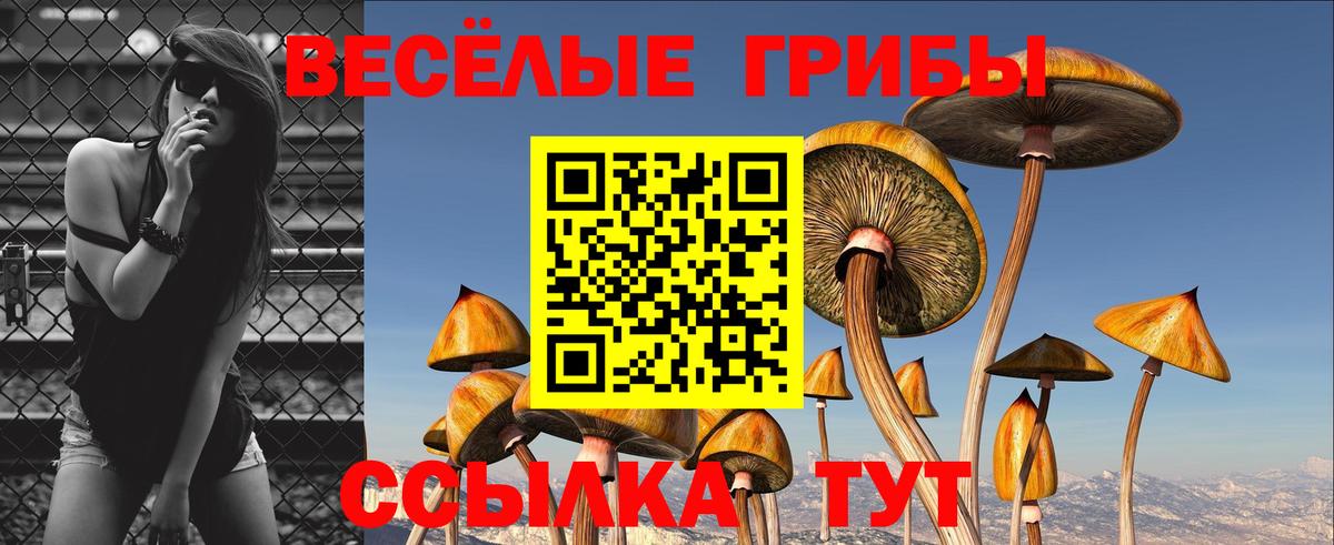 Сосновый Бор  Псилоцибиновые грибы прущие грибы  Псилоцибиновые грибы Cubensis  Вход с VPN 